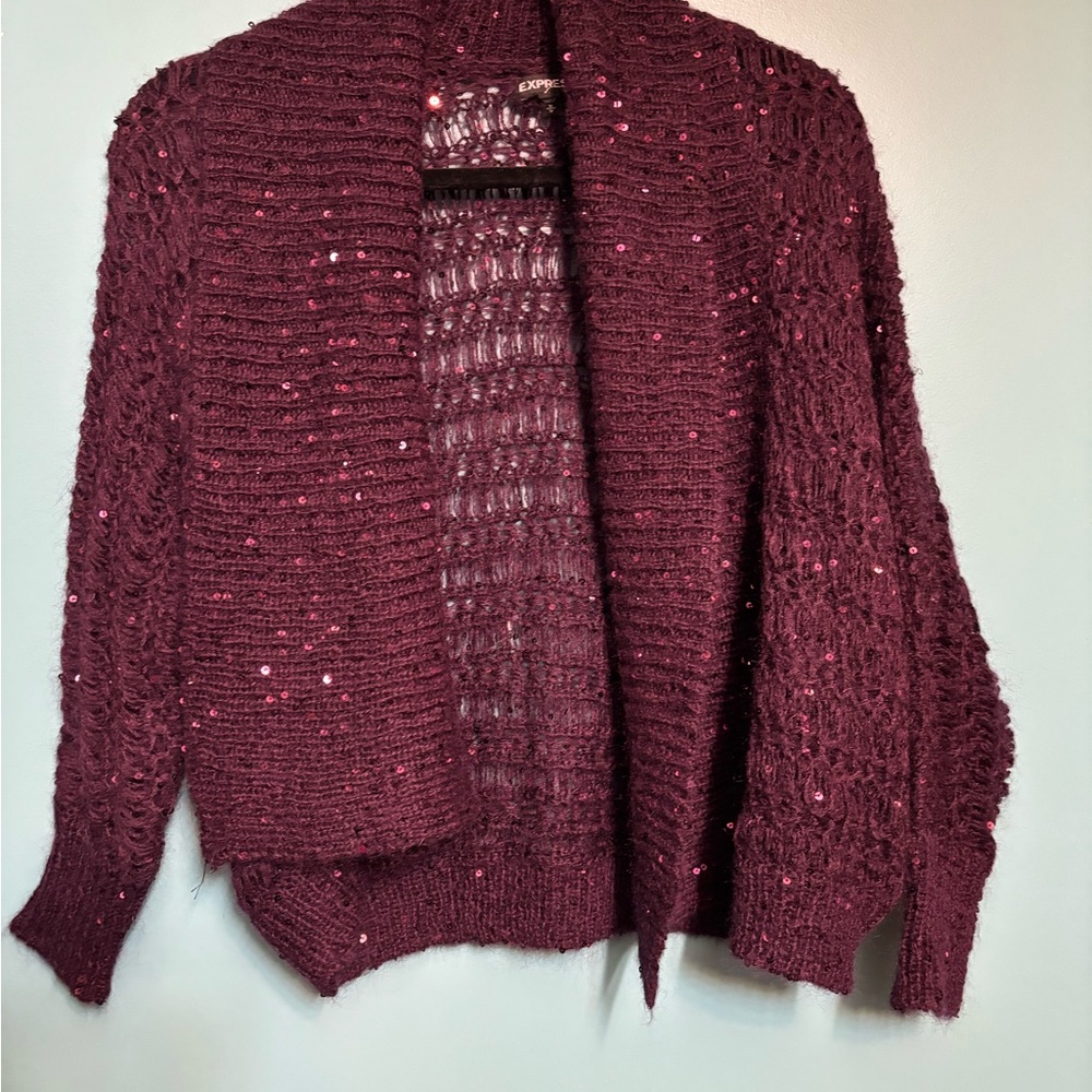Express Plum Purple Sequin Cardigan